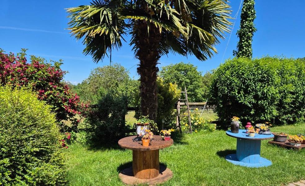 Boves B&B Alla Borgata מראה חיצוני תמונה